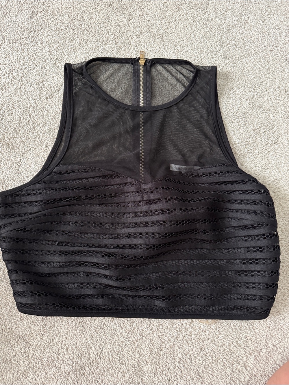 Charlotte Russe Black Mesh Stripe Crop Top